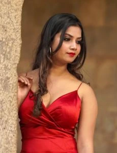 call girl service in Wankaner